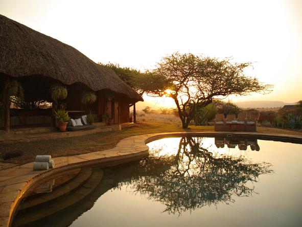 Lewa Safari Camp - Pool View 